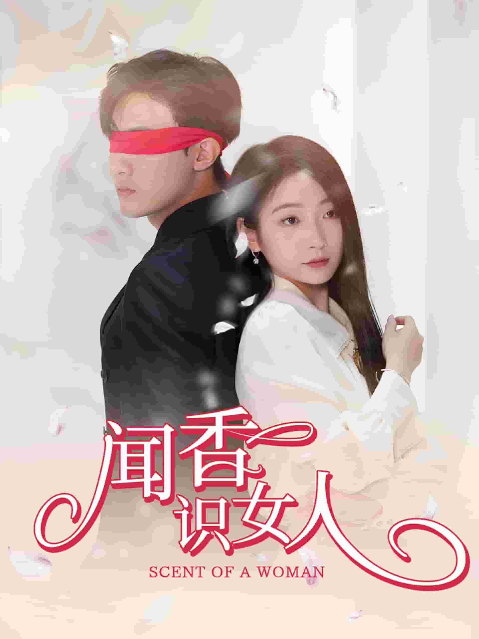 闻香识女人短 剧版