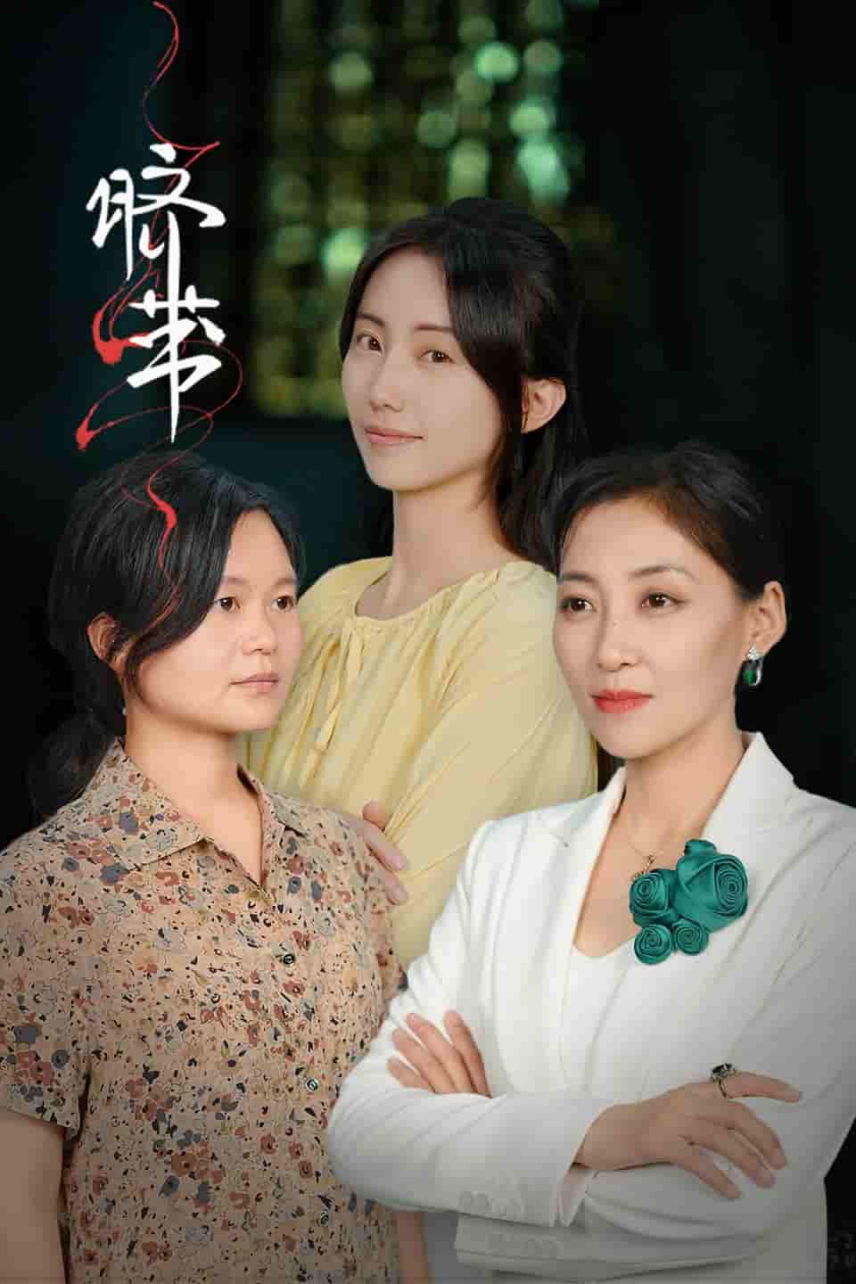 脐带短 剧版