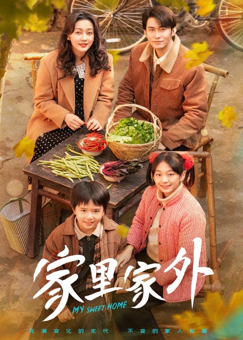 家里家外短 剧版