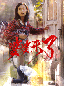 婆婆来了（短 剧版）