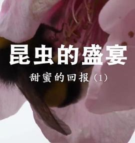 昆虫的盛宴 (粤语)