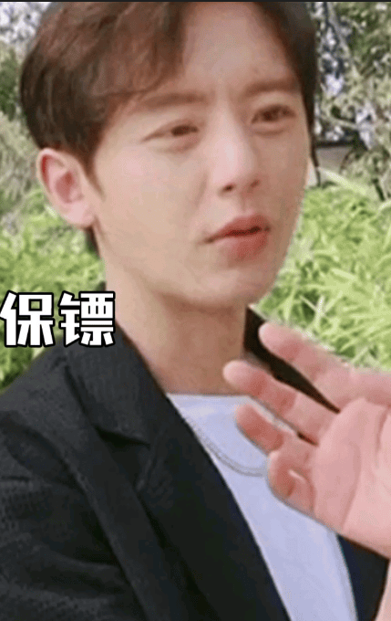 女神的王牌保镖