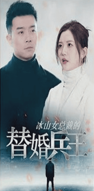 冰山女总裁的替婚兵王