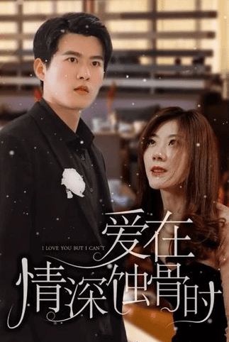 爱在情深蚀骨时
