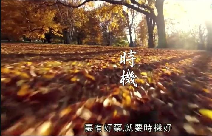 神奇百草游 (粤语)
