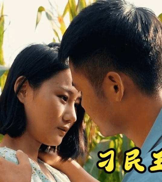 刁民王小二