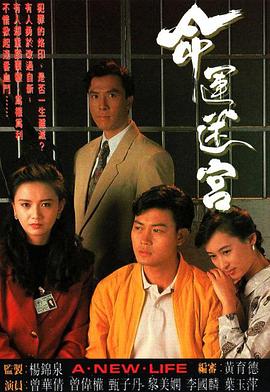 命运迷宫 (国语)