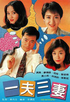 一夫三妻 (国语)