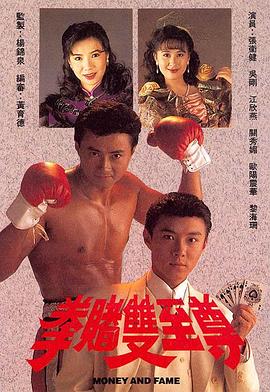 拳赌双至尊 (国语)