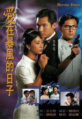 爱在暴风的日子 (国语)