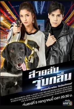 侦探K9普 (国语)